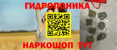 гидропоника Добрянка
