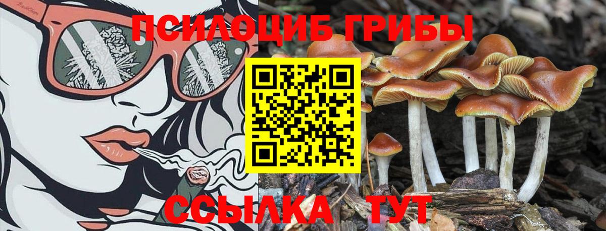 Галлюциногенные грибы Magic Shrooms  Вход с VPN  купить   Нижнеудинск 