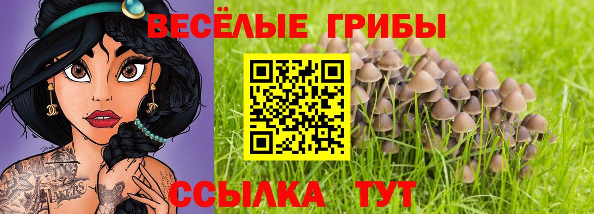 Галлюциногенные грибы Magic Shrooms Нижнеудинск
