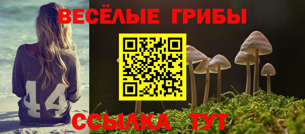 МЕФ кристаллы  Вход с VPN  Лсд 25  Нижнеудинск  Меф  Гашиш  Наркошоп  COCAIN  Alpha-PVP СК кристаллы 
